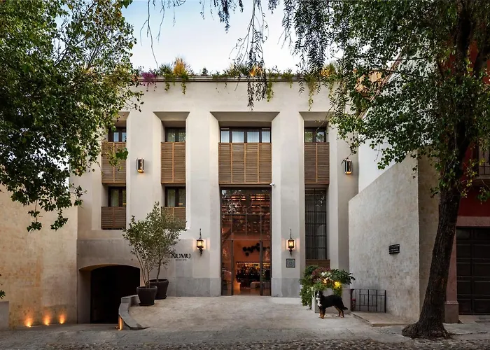 Numu Boutique Hotel, The Unbound Collection By Hyatt