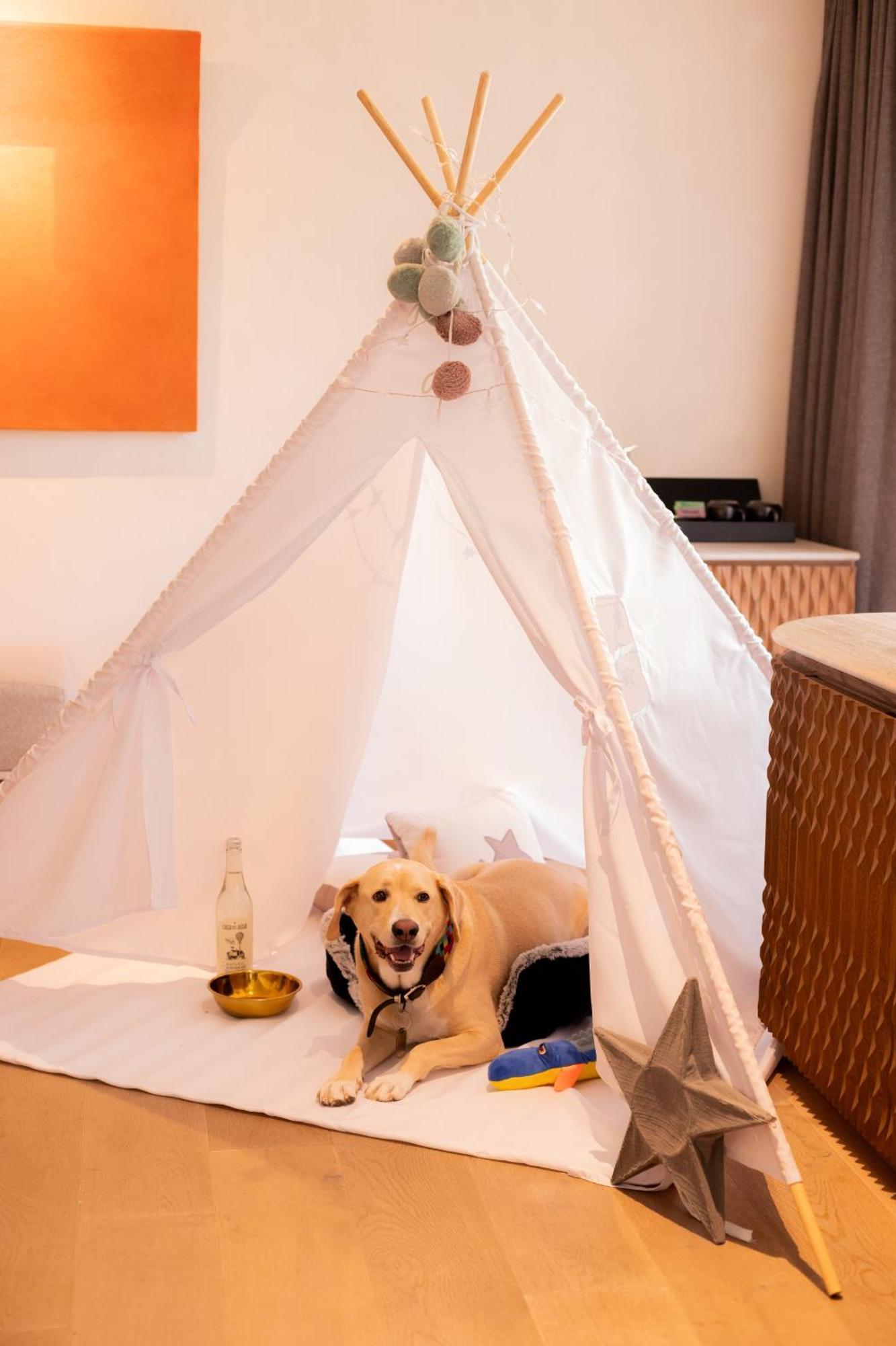 Numu Boutique Hotel, The Unbound Collection By Hyatt 5* San Miguel de Allende